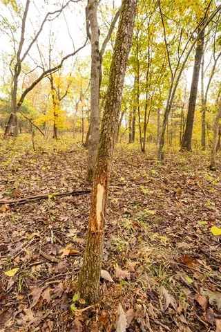 $530,200 | 8875 Northeast 1275th Road, Osceola, MO 64776