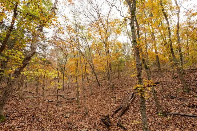 $530,200 | 8875 Northeast 1275th Road, Osceola, MO 64776