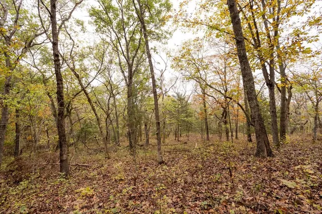 $530,200 | 8875 Northeast 1275th Road, Osceola, MO 64776