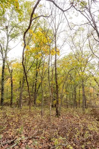 $530,200 | 8875 Northeast 1275th Road, Osceola, MO 64776