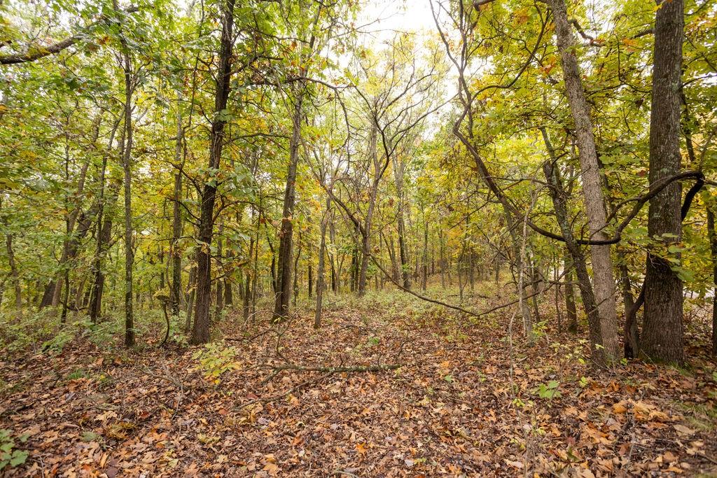 8875 Northeast 1275th Road Osceola, MO 64776 - Photo 73 of 99