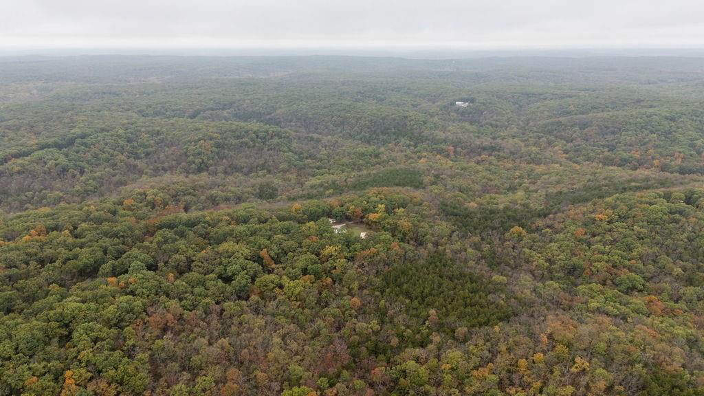 8875 Northeast 1275th Road Osceola, MO 64776 - Photo 80 of 99