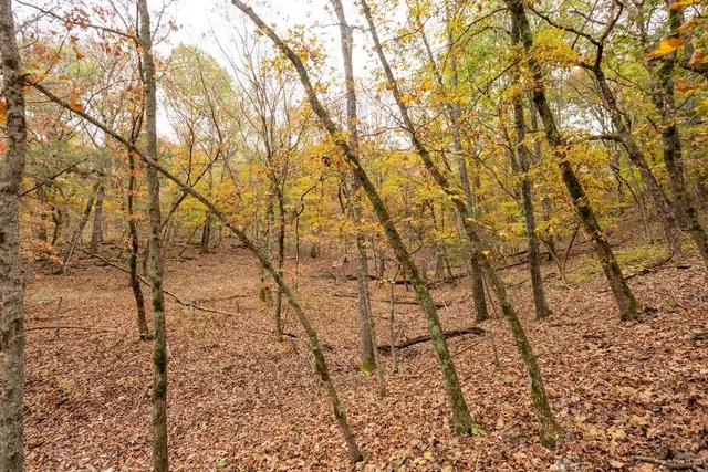 $530,200 | 8875 Northeast 1275th Road, Osceola, MO 64776