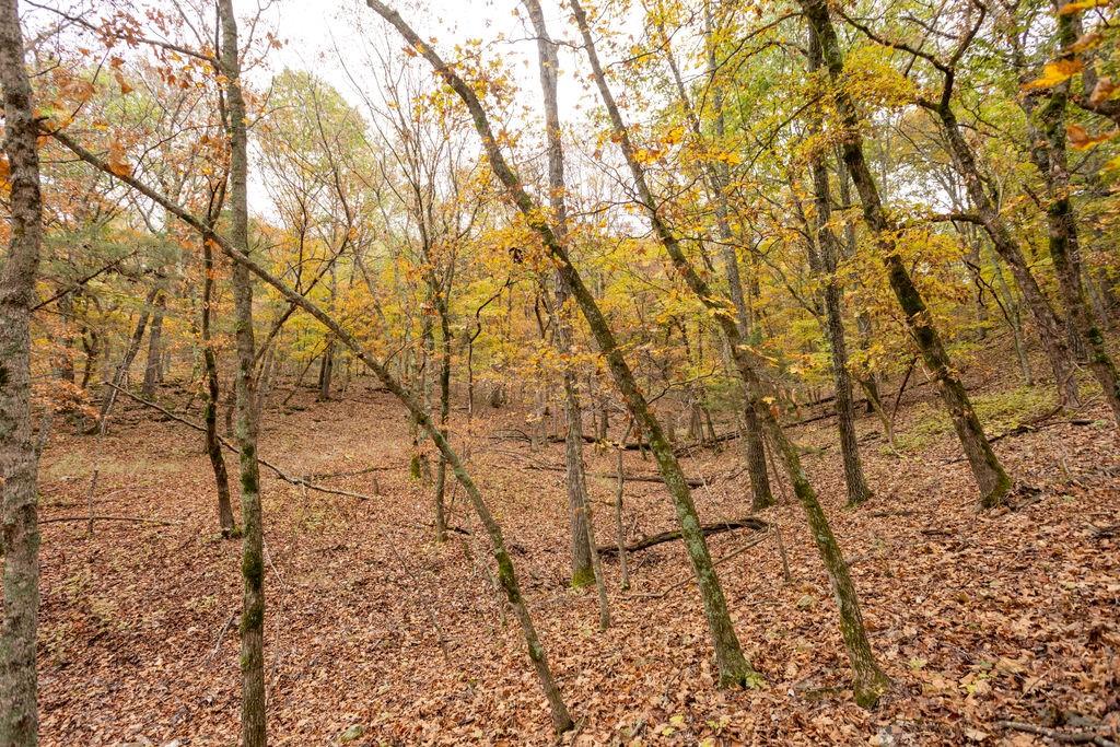 8875 Northeast 1275th Road Osceola, MO 64776 - Photo 8 of 99