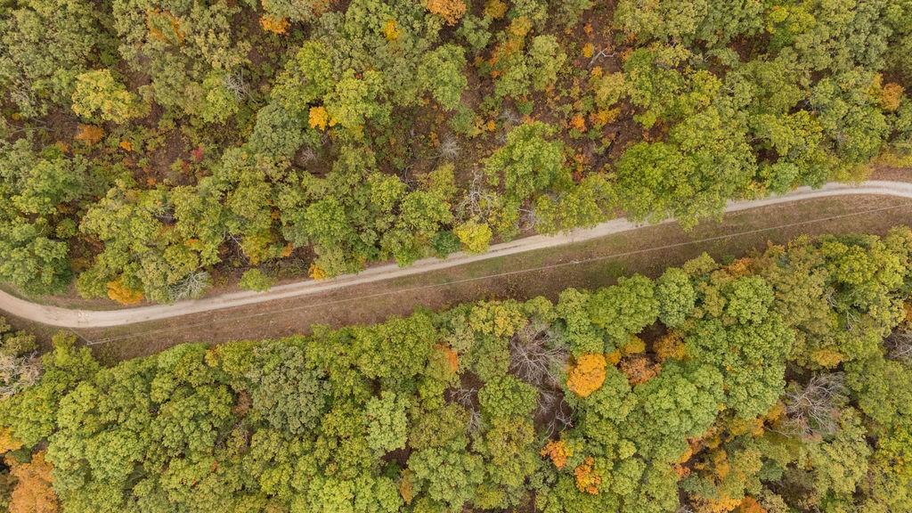 8875 Northeast 1275th Road Osceola, MO 64776 - Photo 83 of 99