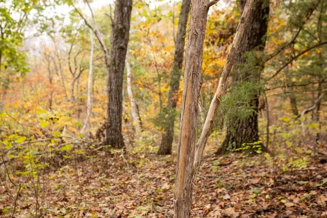 $530,200 | 8875 Northeast 1275th Road, Osceola, MO 64776