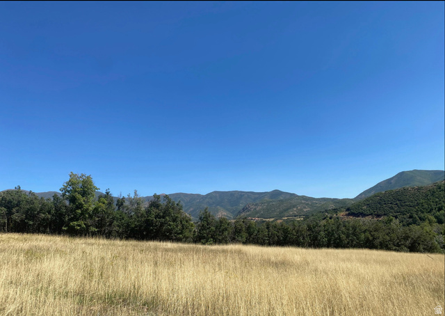 131 Meadow Drive, Unit 20 Springville, UT 84663 - Photo 32 of 33 Mountain view with rural landscape and a forest