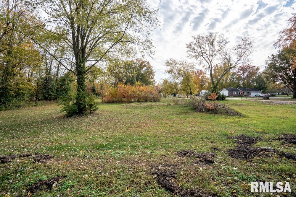 302 Benedict Street Valier, IL 62891 - Photo 23 of 31