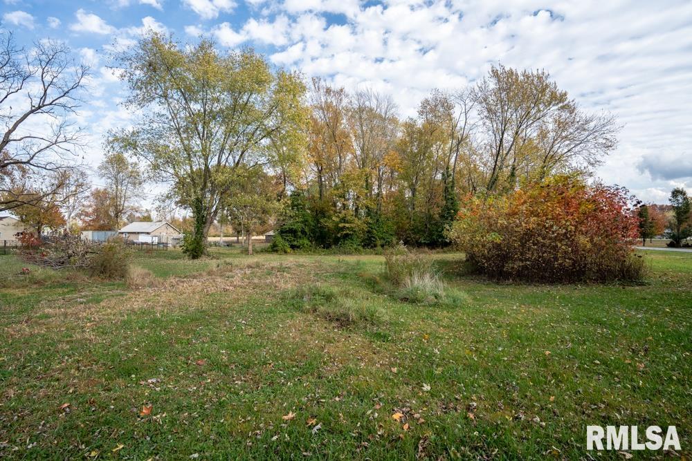 302 Benedict Street Valier, IL 62891 - Photo 25 of 31