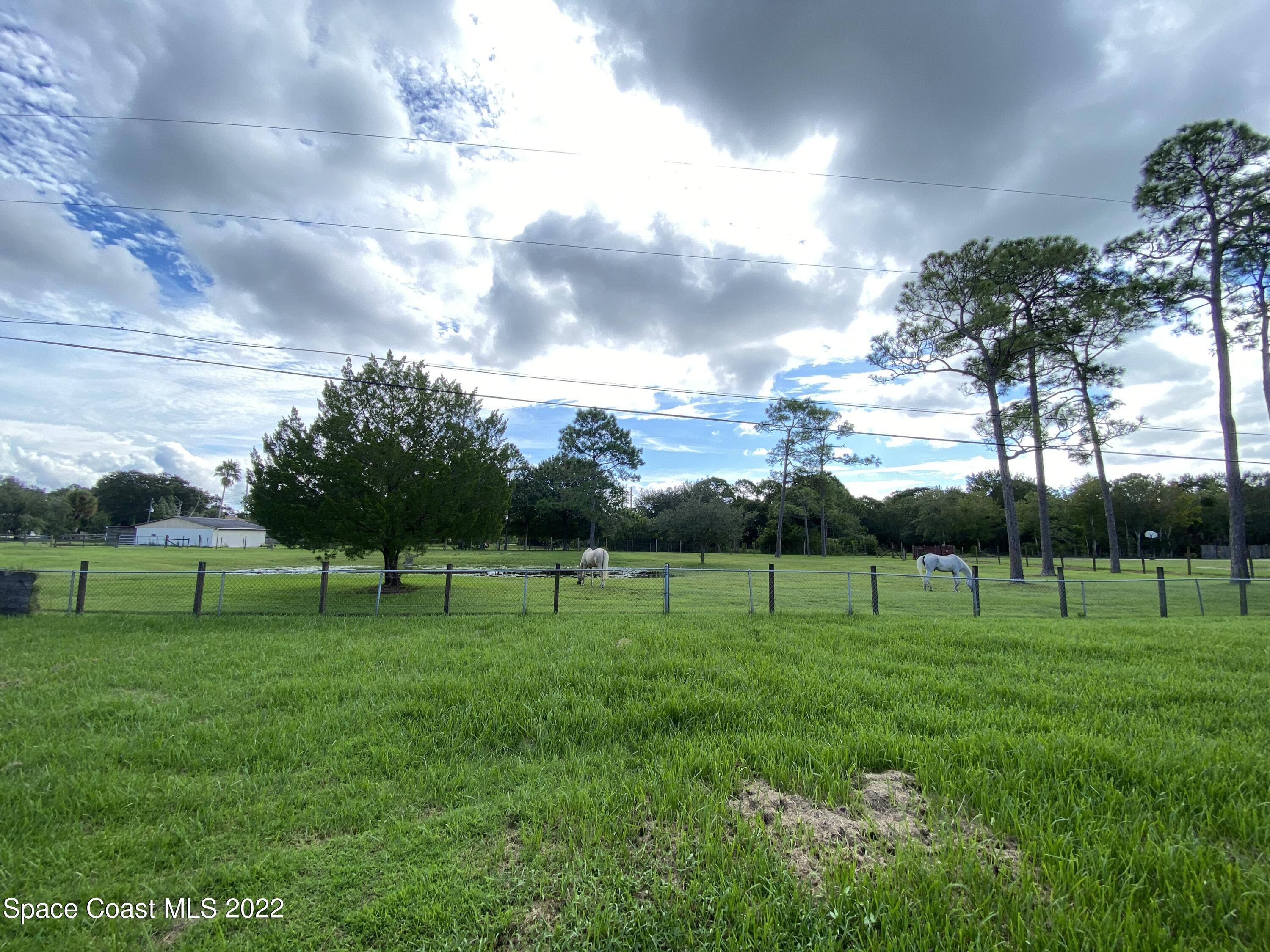 1840 Britt Road Cocoa, FL 32926 - Photo 17 of 17 a view of large trees with a big yard