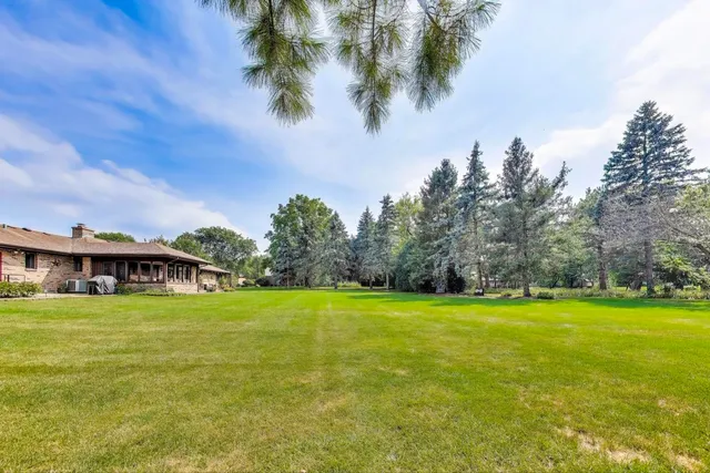 a view of a big yard with trees in the background