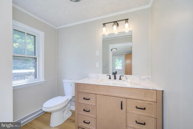 a bathroom with a sink a toilet and a mirror