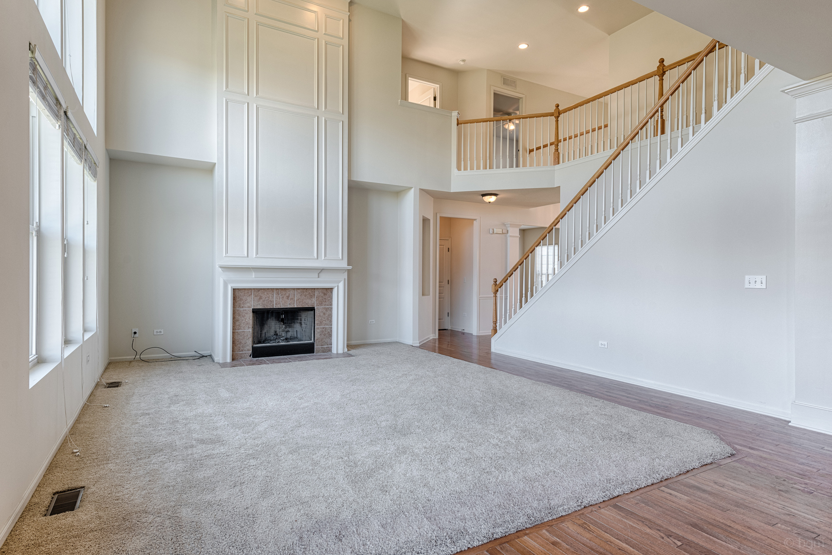 334 Tiger Street Bolingbrook, IL 60490 - Photo 3 of 30