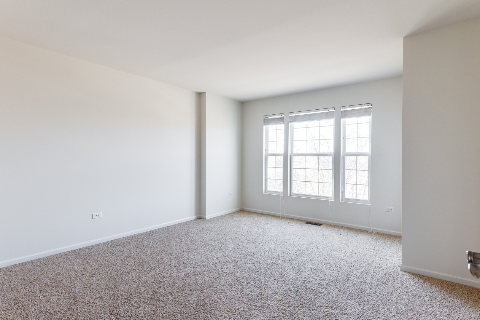 334 Tiger Street Bolingbrook, IL 60490 - Photo 27 of 30