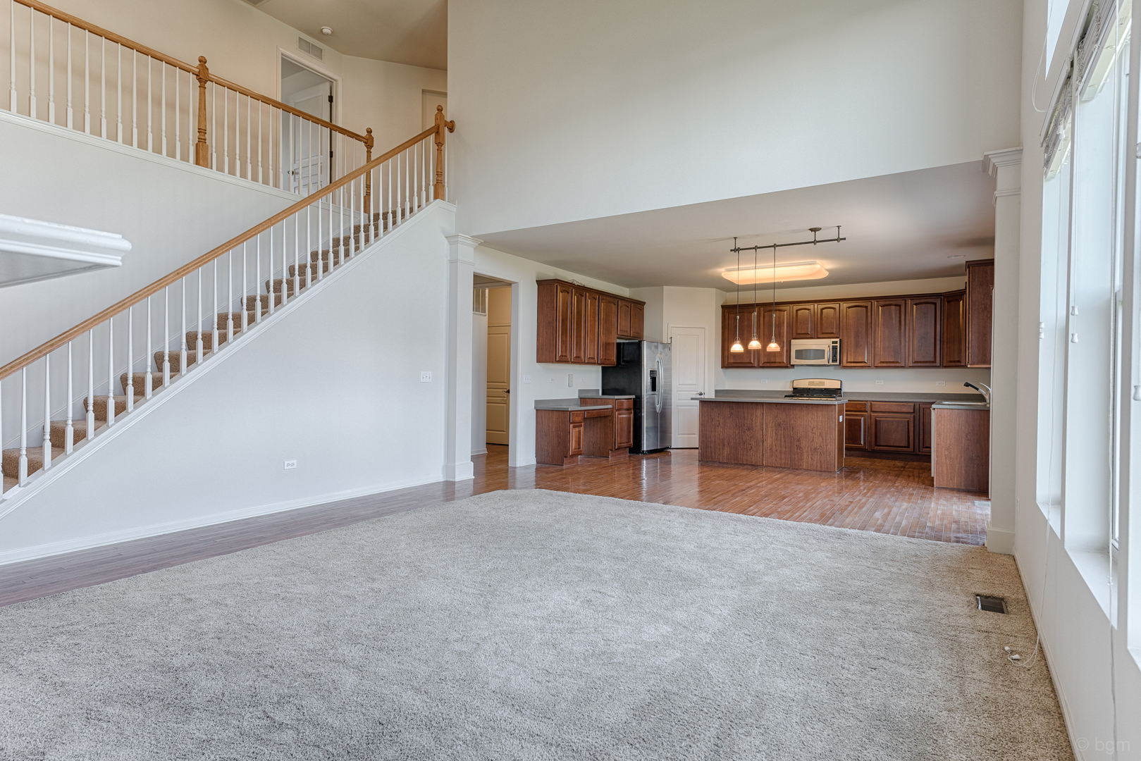 334 Tiger Street Bolingbrook, IL 60490 - Photo 5 of 30