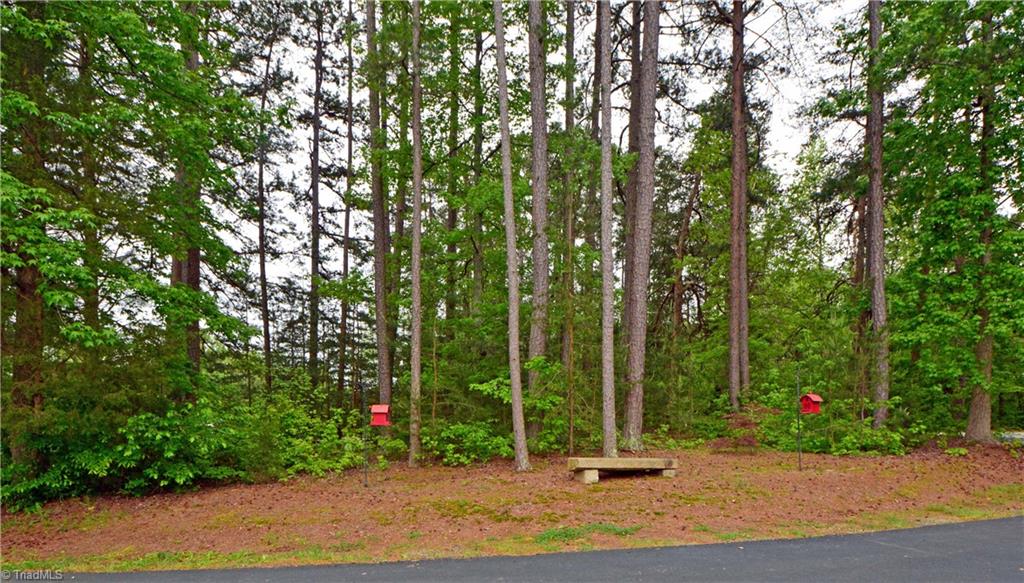 1351 Wilson Road Linwood, NC 27299 - Photo 8 of 35 Front Yard