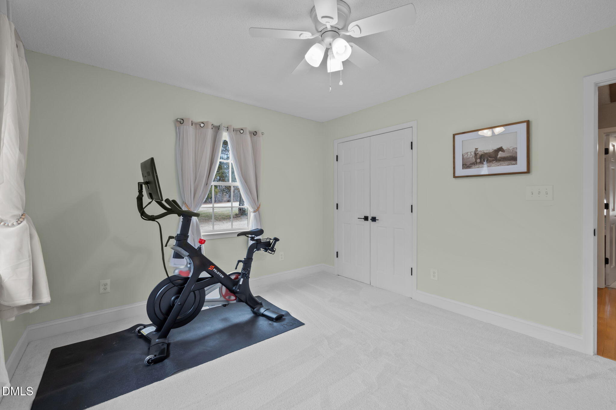 2008 Red Mountain Road Rougemont, NC 27572 - Photo 19 of 31 a view of a room with gym equipment