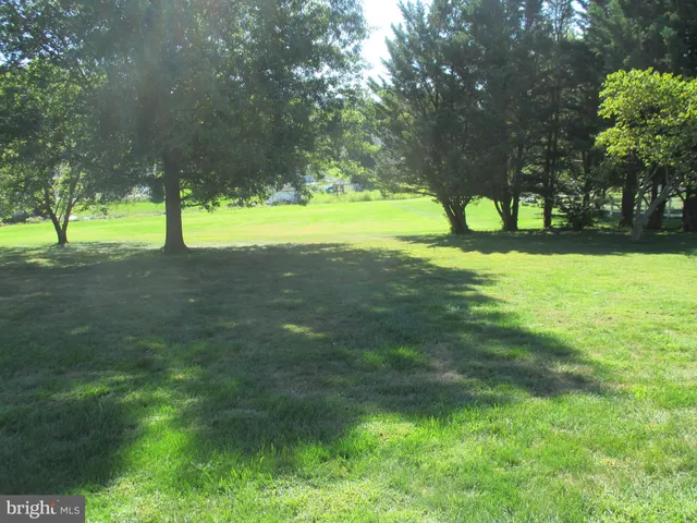 a front view of a house with plants
