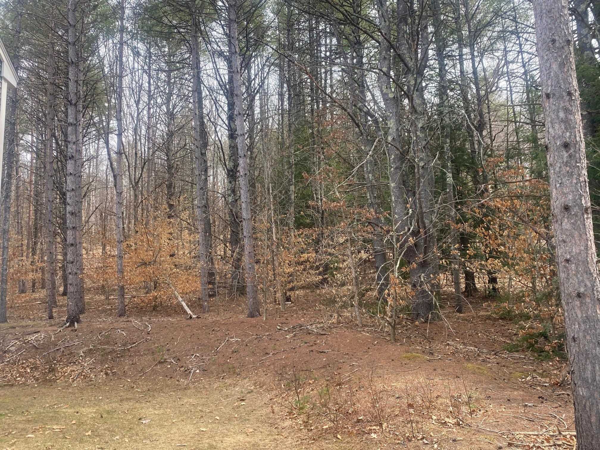 60 Blackwater Road Concord, NH 03303 - Photo 33 of 38