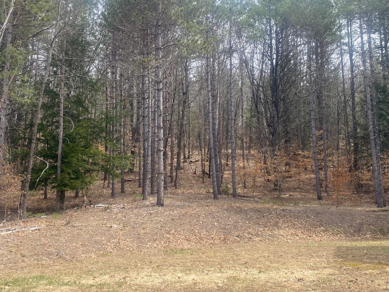 60 Blackwater Road Concord, NH 03303 - Photo 37 of 38