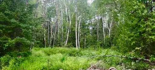 $125,000 | 5-005 Grendell Road, Mapleton, ME 04757