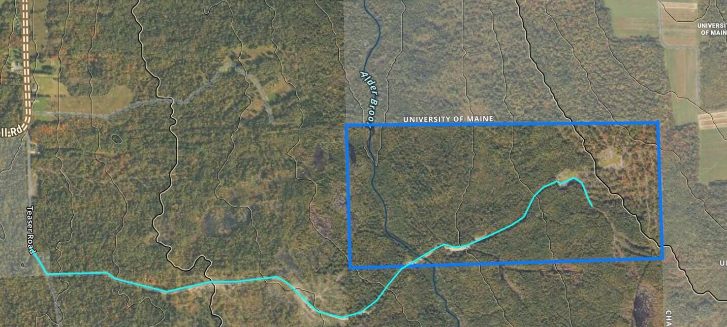 5-005-1 Grendell Road Mapleton, ME 04757 - Photo 5 of 11 private road in