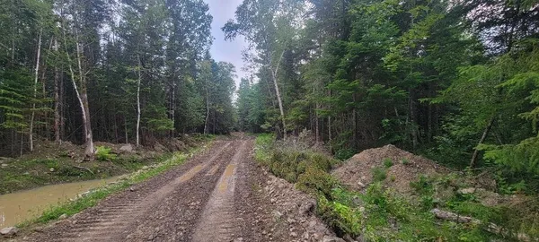 $125,000 | 5-005 Grendell Road, Mapleton, ME 04757