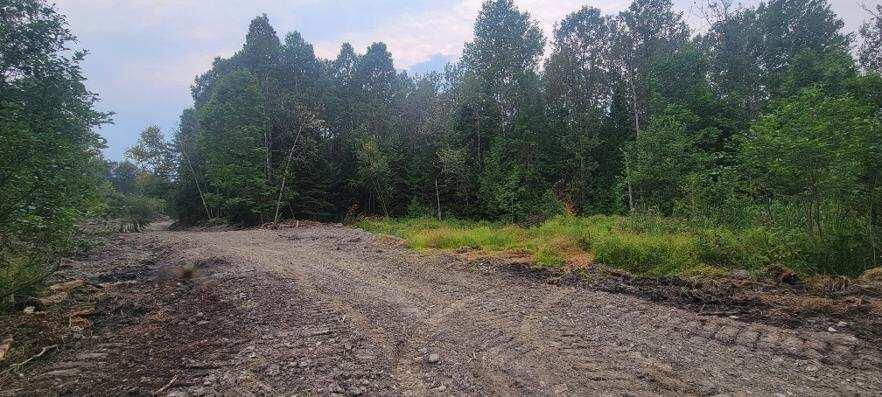 5-005-1 Grendell Road Mapleton, ME 04757 - Photo 10 of 11 image_3001