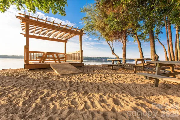a view of tall trees with a bench