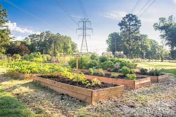a view of a garden with an outdoor space