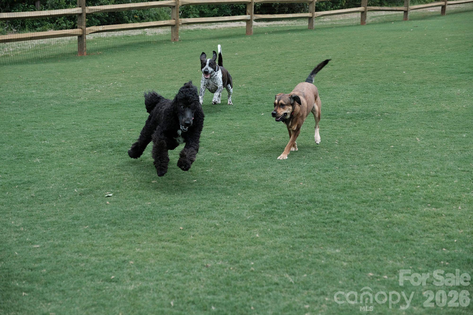 143 Greenridge Road Clover, SC 29710 - Photo 40 of 43 a view of a golf course with a park