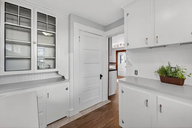 a kitchen with stainless steel appliances white cabinets and a potted plant
