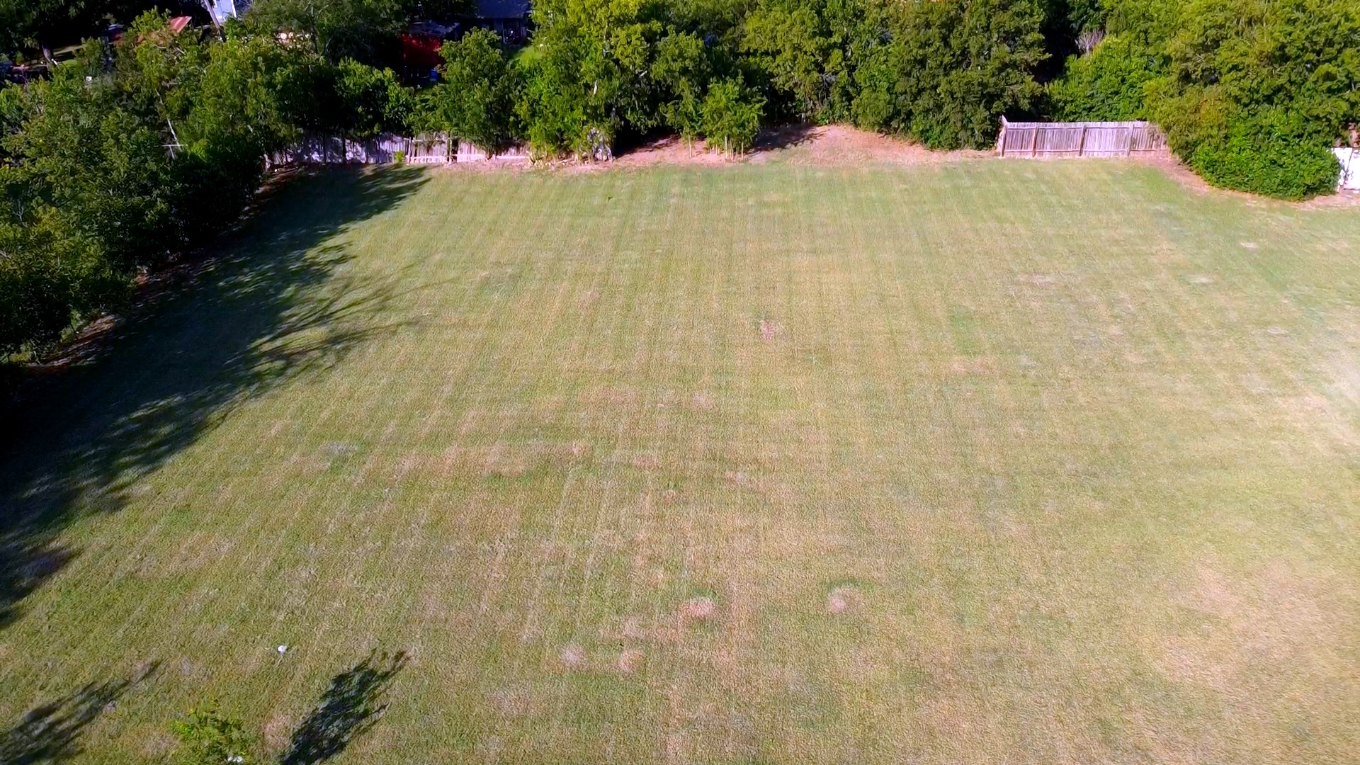 2005 Pine Street Georgetown, TX 78626 - Photo 2 of 7 A verdant, spacious lot awaits your dream home, bordered by mature trees and a sturdy fence.