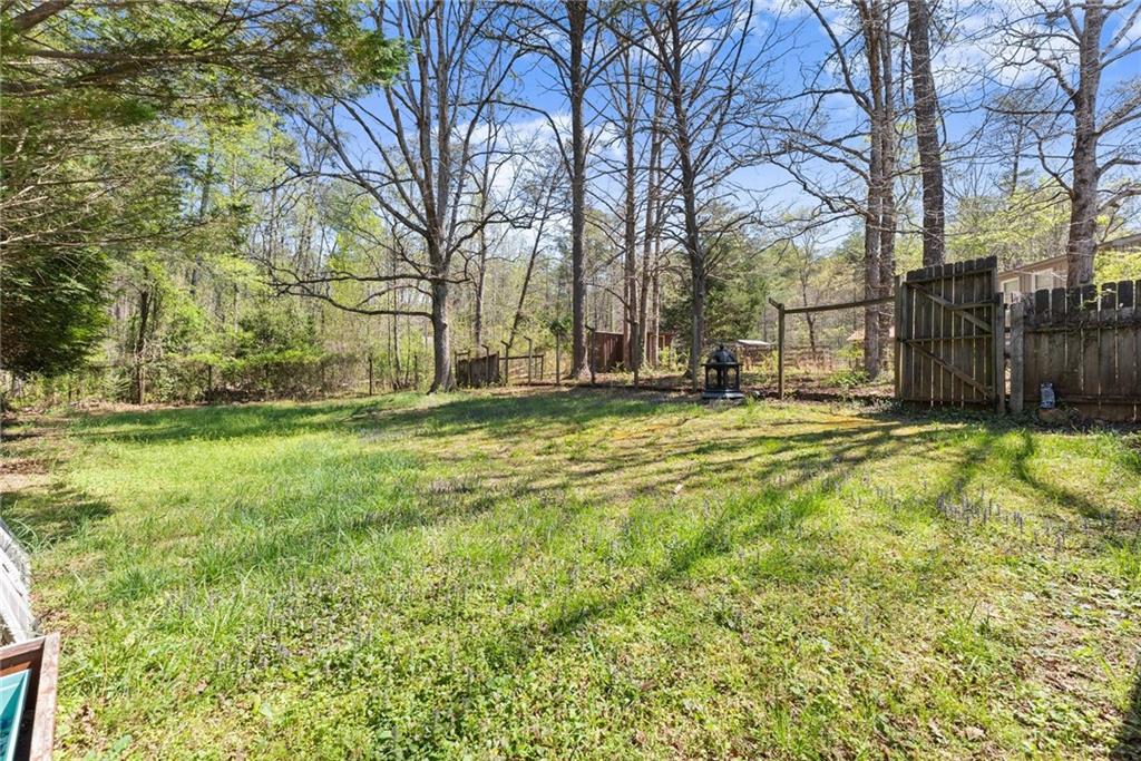 290 Chastain Road Sautee Nacoochee, GA 30571 - Photo 58 of 69 a view of a yard with a large tree