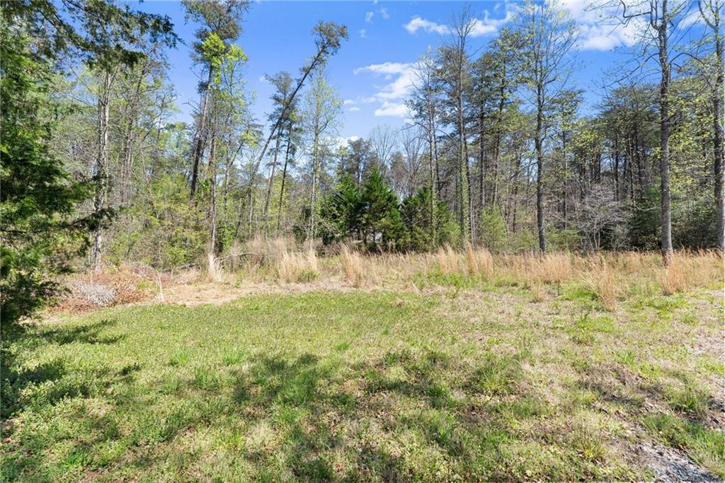 290 Chastain Road Sautee Nacoochee, GA 30571 - Photo 60 of 69