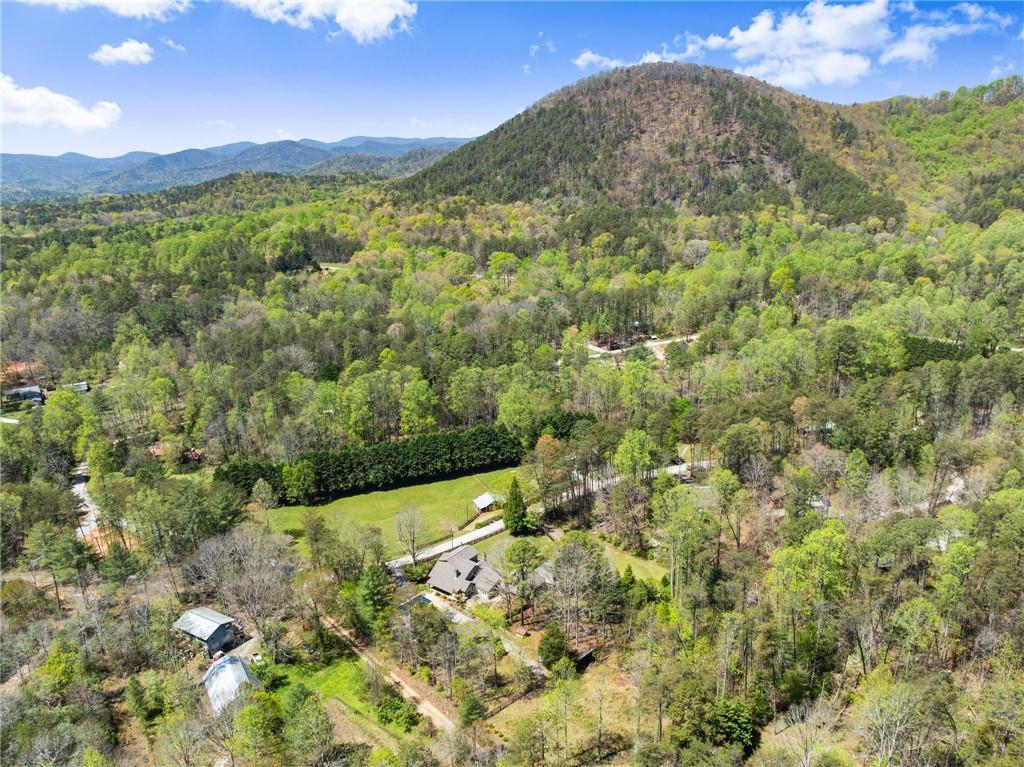 290 Chastain Road Sautee Nacoochee, GA 30571 - Photo 67 of 69 a view of a lush green field with a mountain in the background