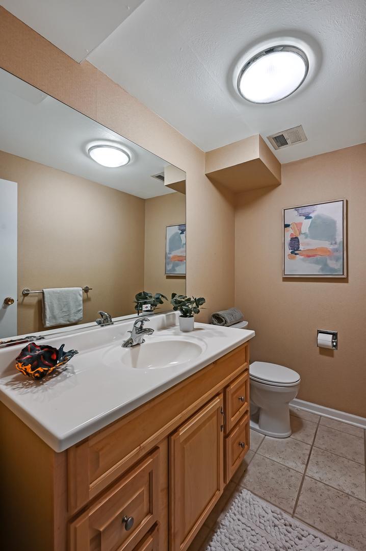 1200 Oak Hill Road Downers Grove, IL 60515 - Photo 22 of 24 a bathroom with a sink a toilet and a mirror