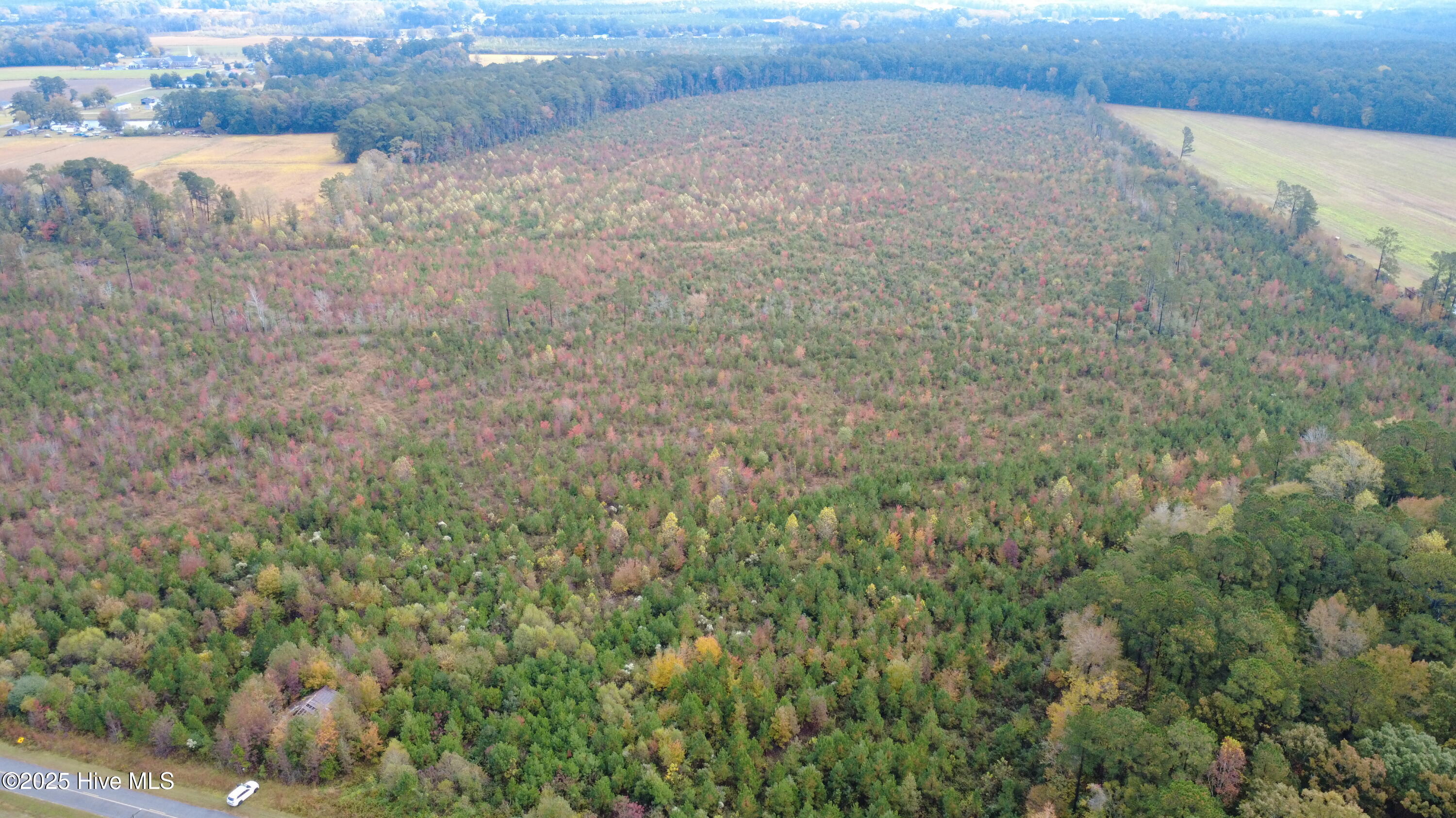 DJI_0844
