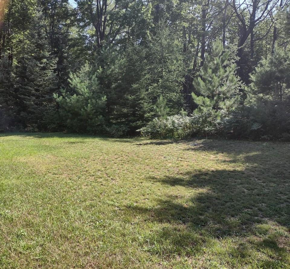 4595 East Balsam Lane Rhinelander, WI 54501 - Photo 6 of 9 Gallery Image 6