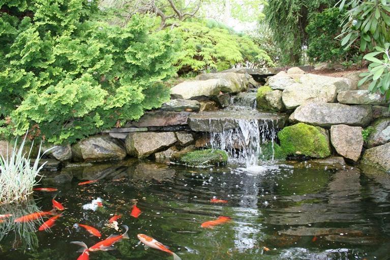 45 Gibson Road Orleans, MA 02653 - Photo 21 of 33