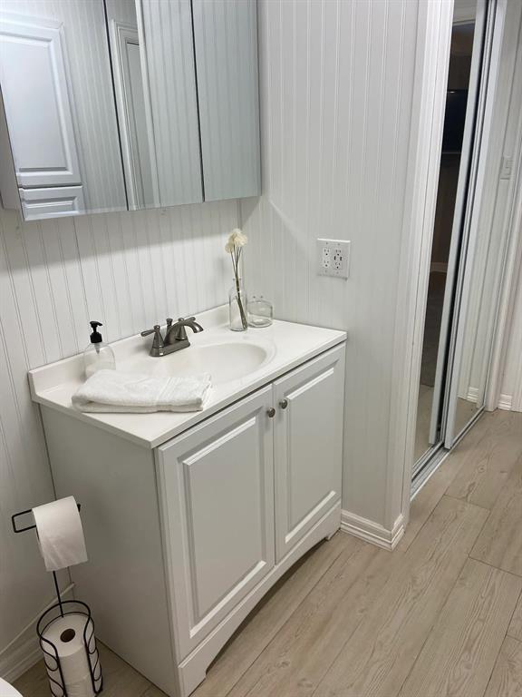 1402 Posey Brewer Road Sunset, TX 76270 - Photo 12 of 19 Bathroom with vanity and light wood-style flooring