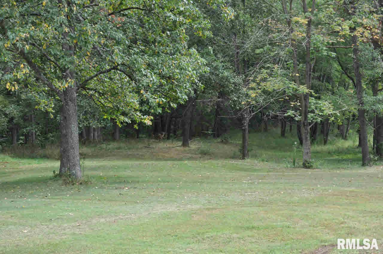 17299 East Marlow Road Mount Vernon, IL 62864 - Photo 32 of 50 Gallery Image 32