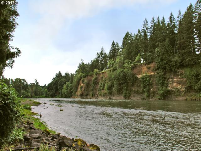 18697 Southeast Semple Road Damascus, OR 97089 - Photo 14 of 16