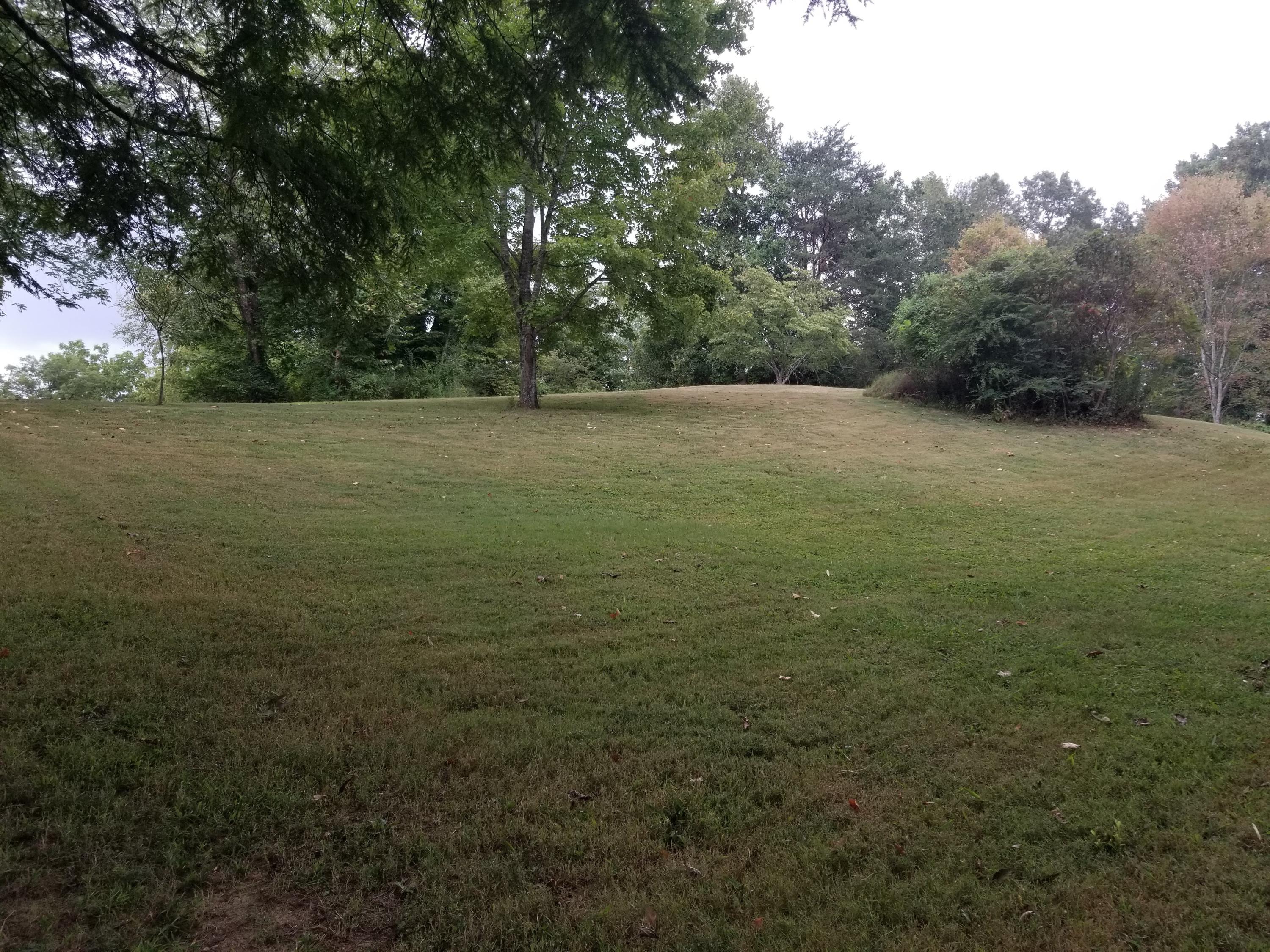 Lot 28 Chucky Burl Road Sevierville, TN 37876 - Photo 1 of 2 20190822_095101