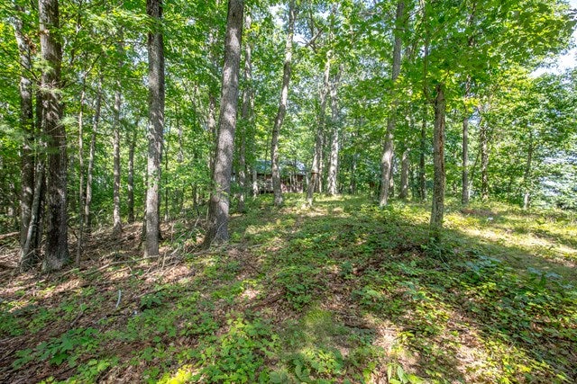 406 Gap Of Ridge Road Wytheville, VA 24382 - Photo 5 of 34 Gallery Image 5