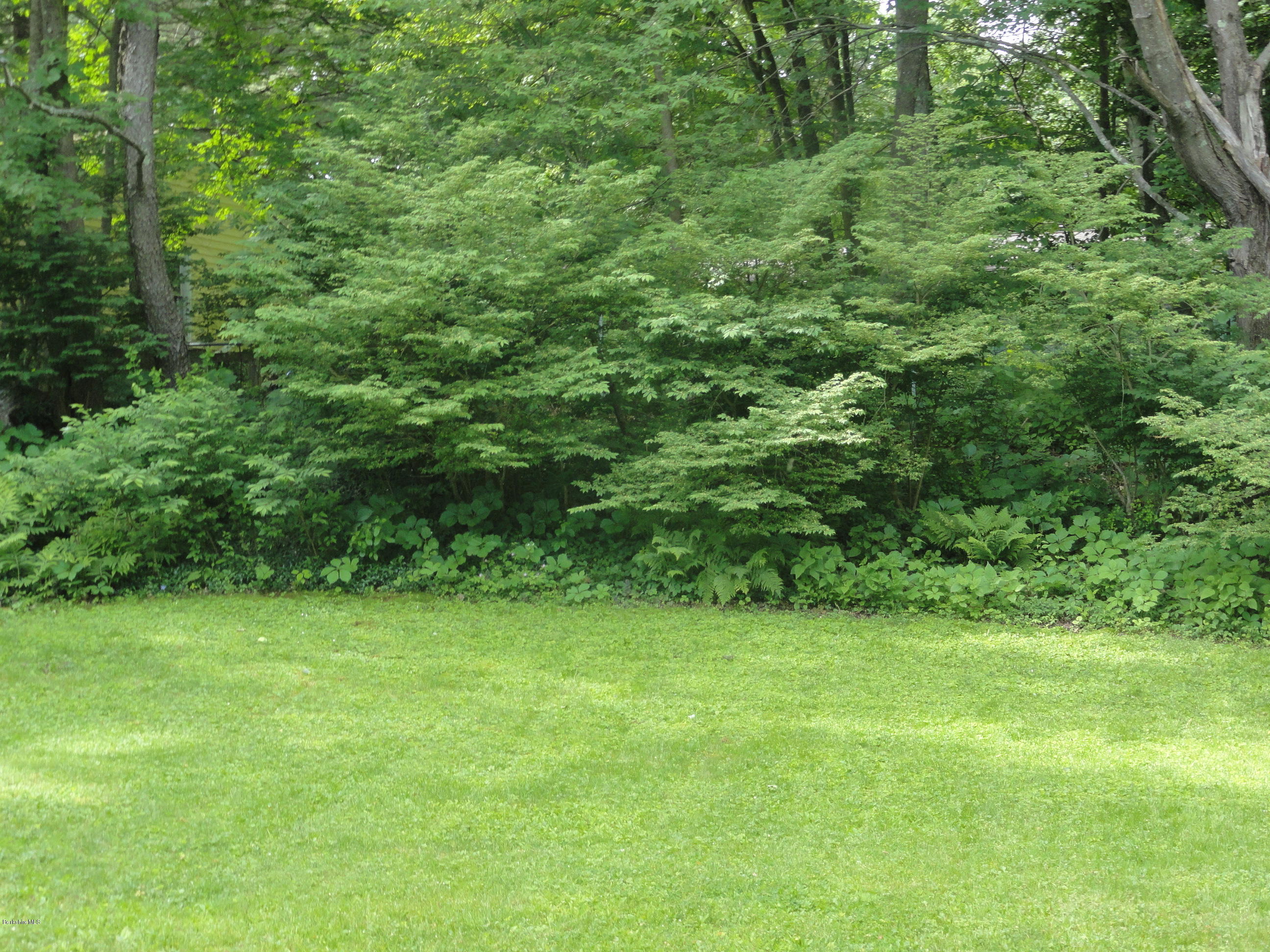 DSC06145
