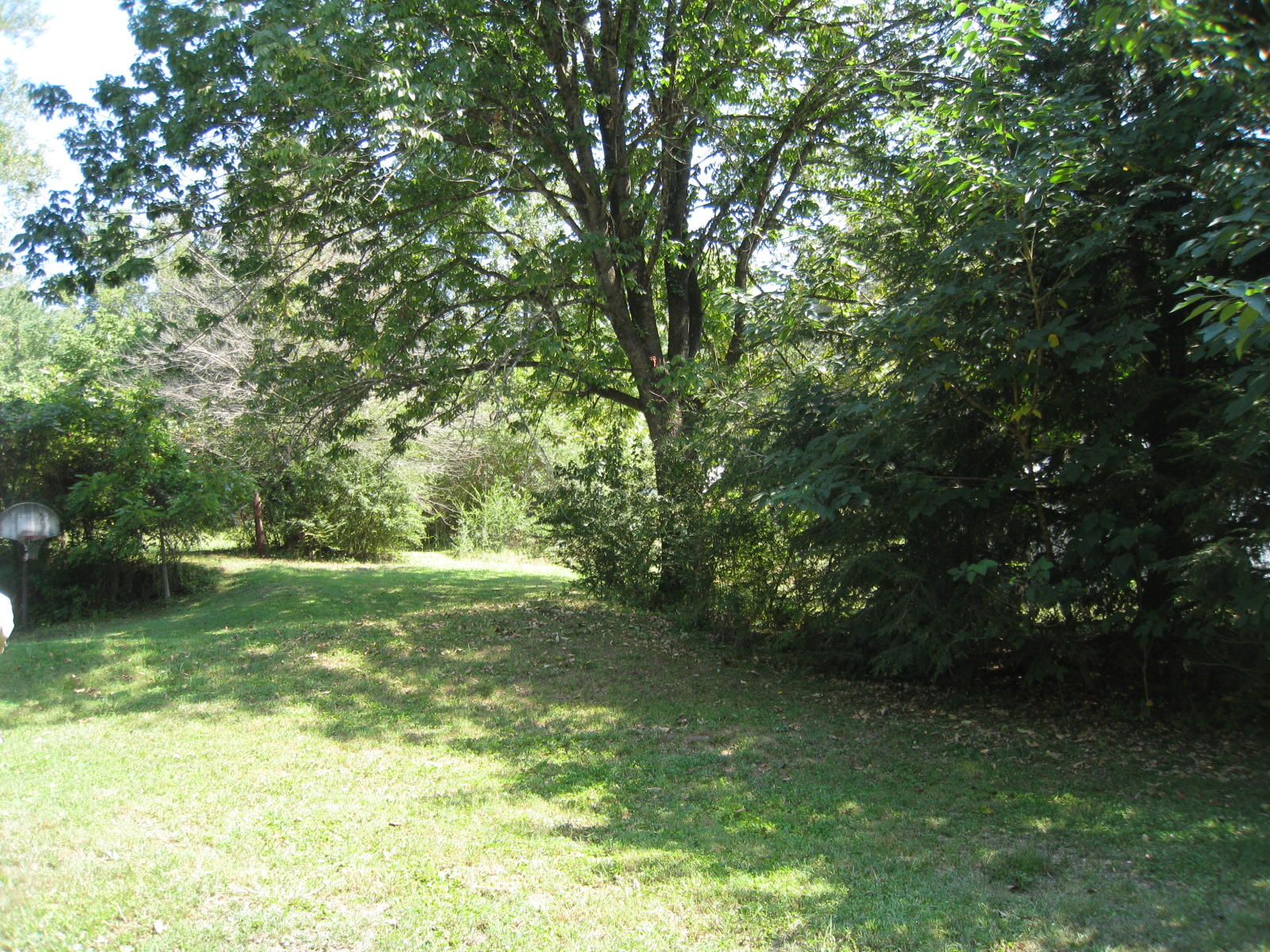 603 Webster Road Harriman, TN 37748 - Photo 8 of 15 IMG_0001