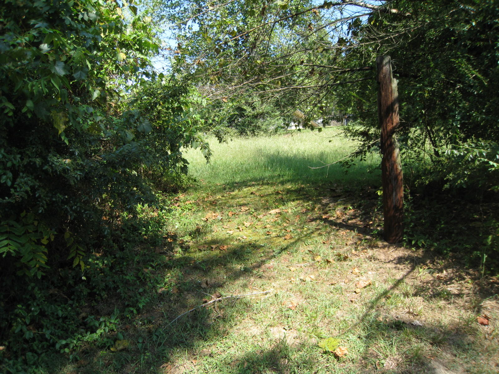 603 Webster Road Harriman, TN 37748 - Photo 9 of 15 IMG_0010