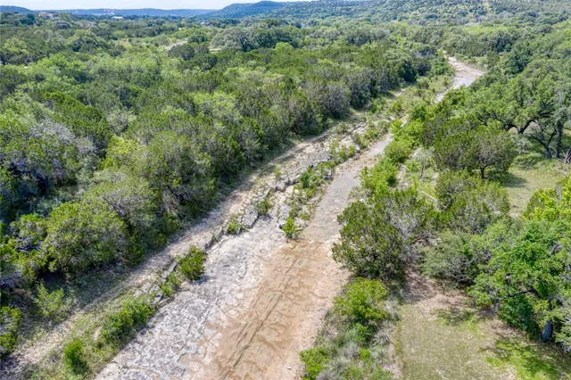 a view of a forest with a street