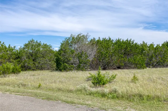 a view of a field of grass and trees